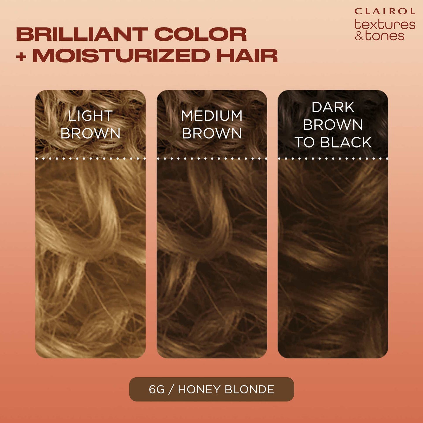 Clairol Textures & Tones 6G Honey Blonde