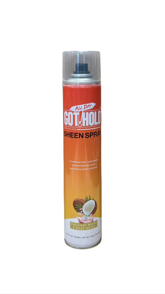 All Day Got Hold Sheen Spray 12.49 oz