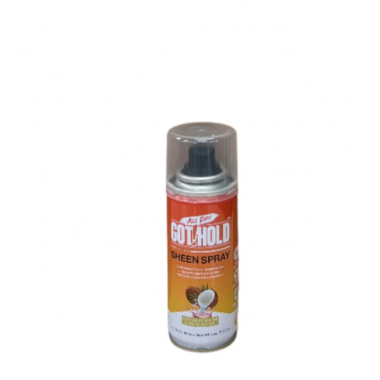 All Day Got Hold Sheen Spray 2.7 oz