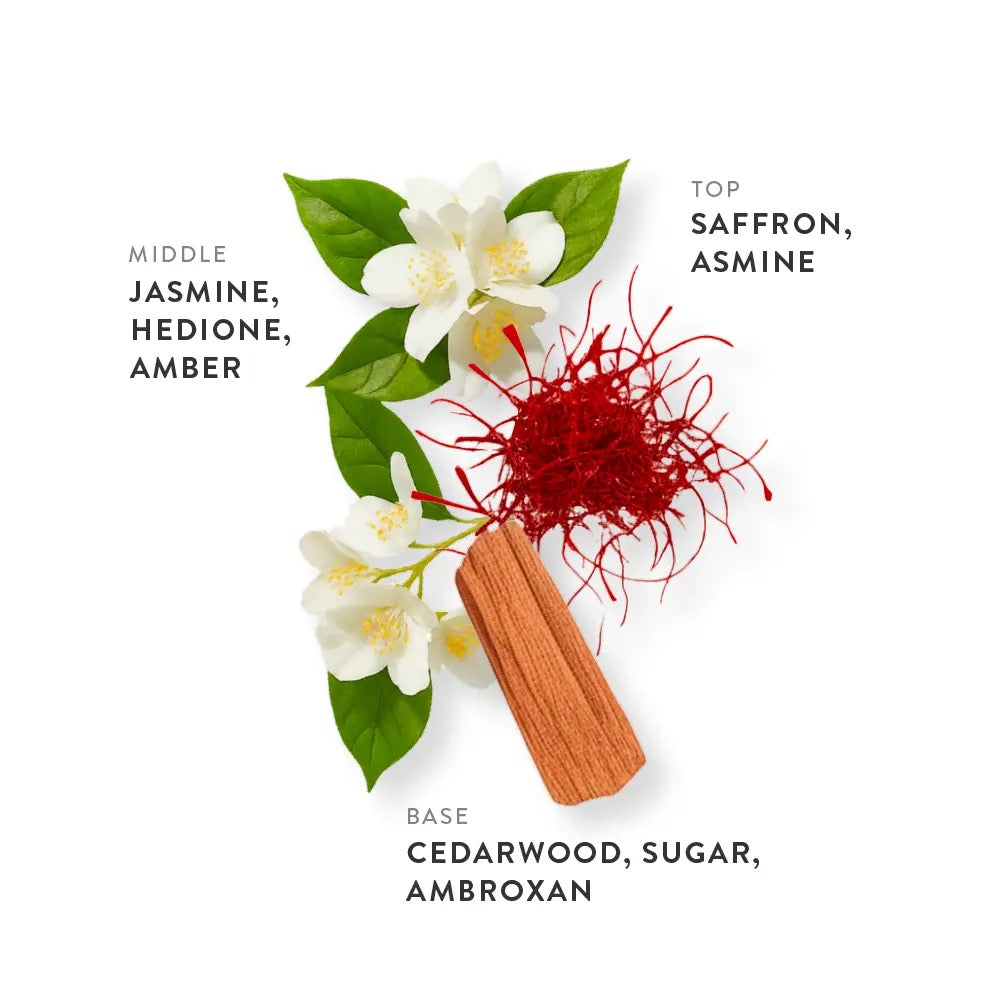 Etleé Perfume Amber Bourbon Eau De Parfum