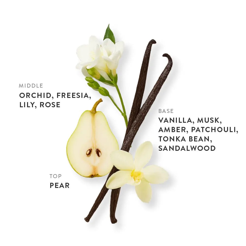 Etleé Perfume French Vanilla Eau De Parfum