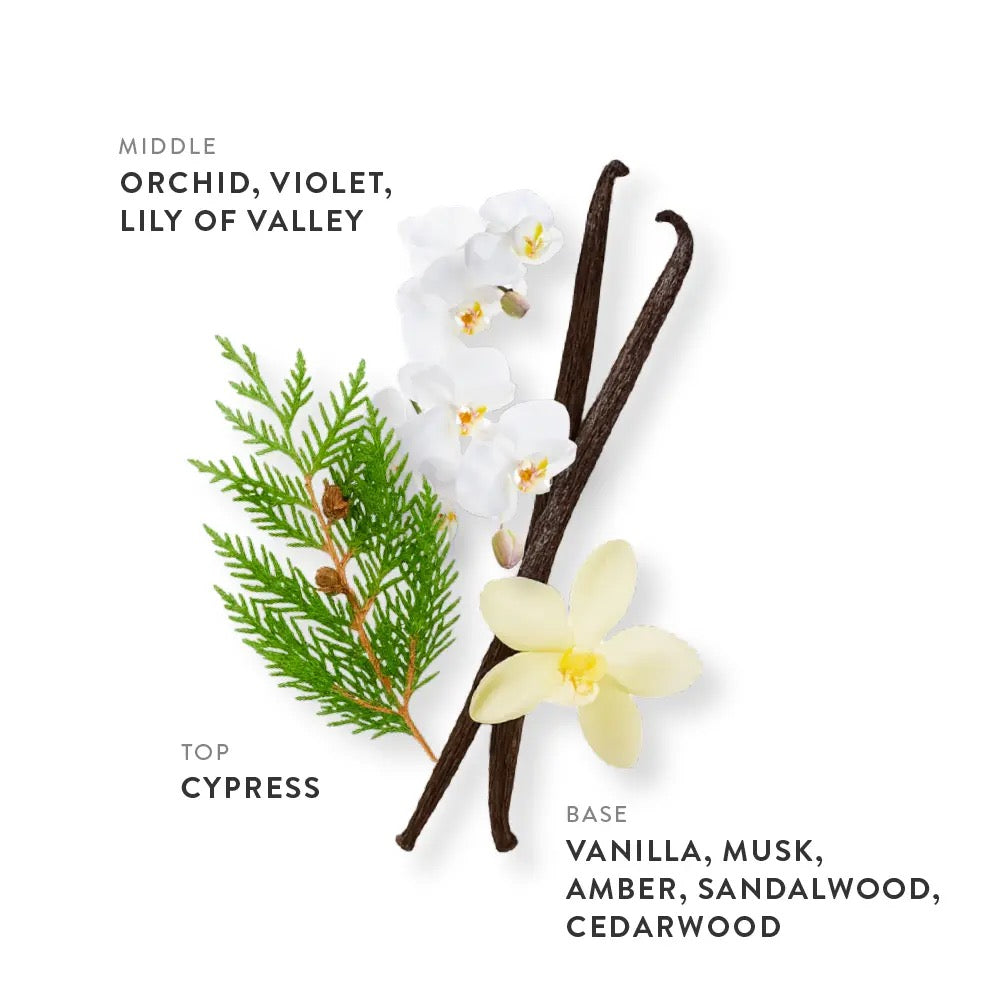 Etleé Perfume Vanilla & Musk Eau De Parfum