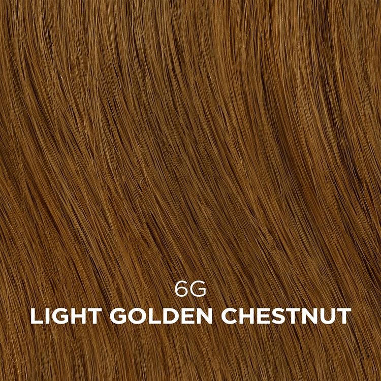 Clairol Beautiful Collections Advanced Gray 6G Light Golden Chestnut
