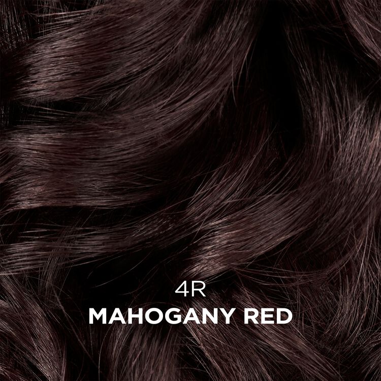 Clairol Beautiful Collections Advanced Gray 4R Mahogany Red Brown